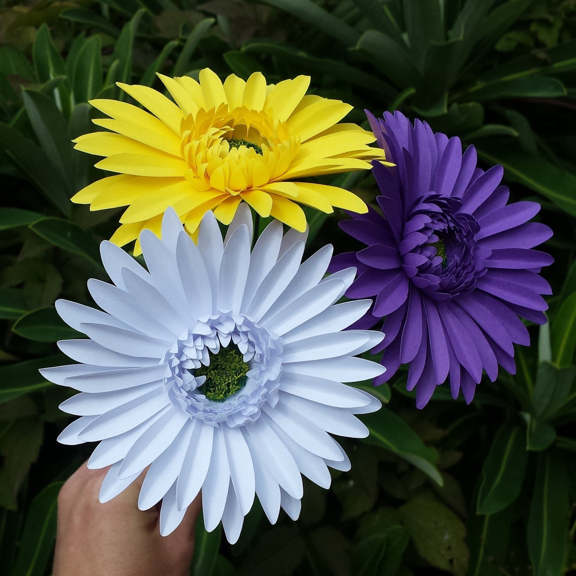 Handmade Paper Gerbera Daisies