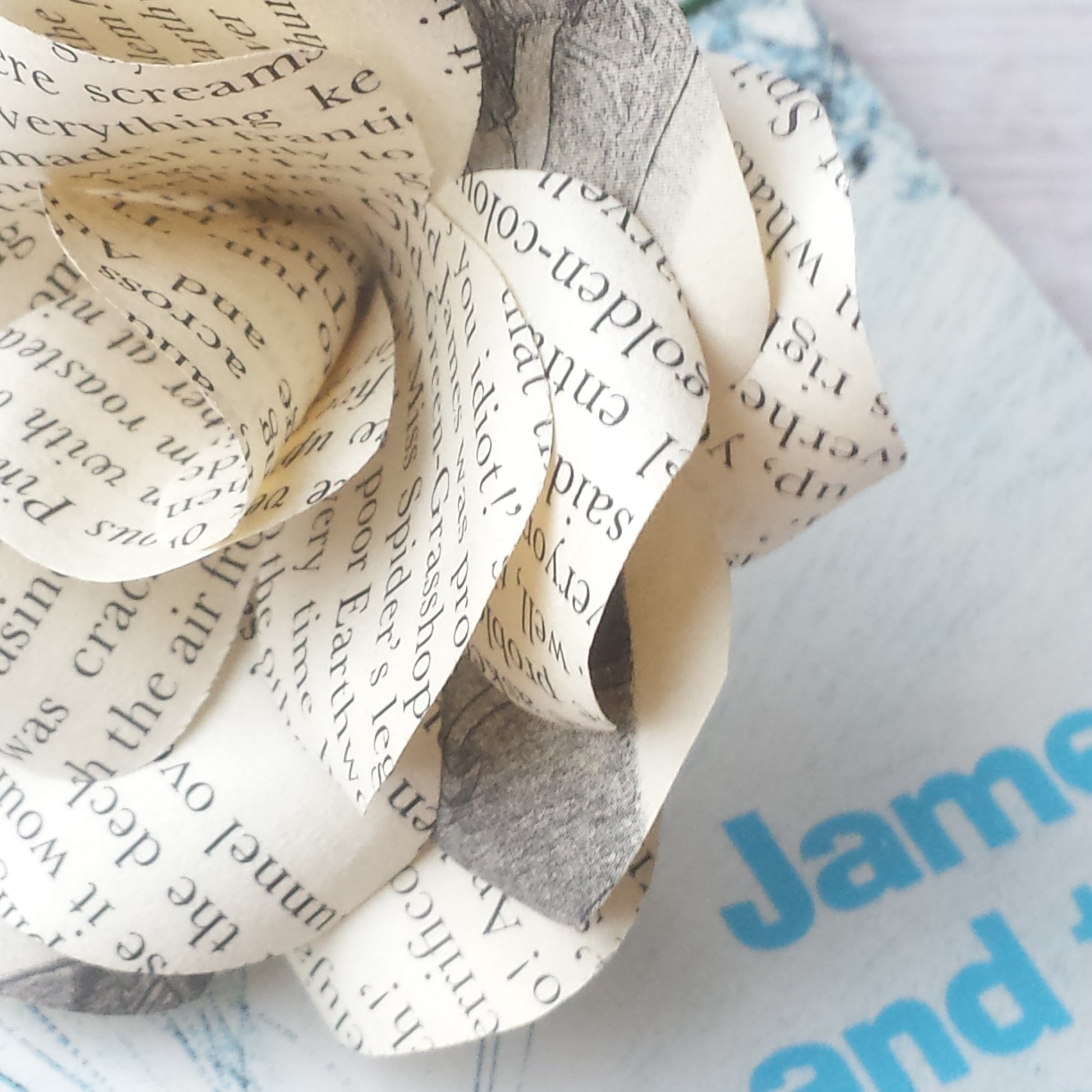 Roald Dahl Book Paper Rose