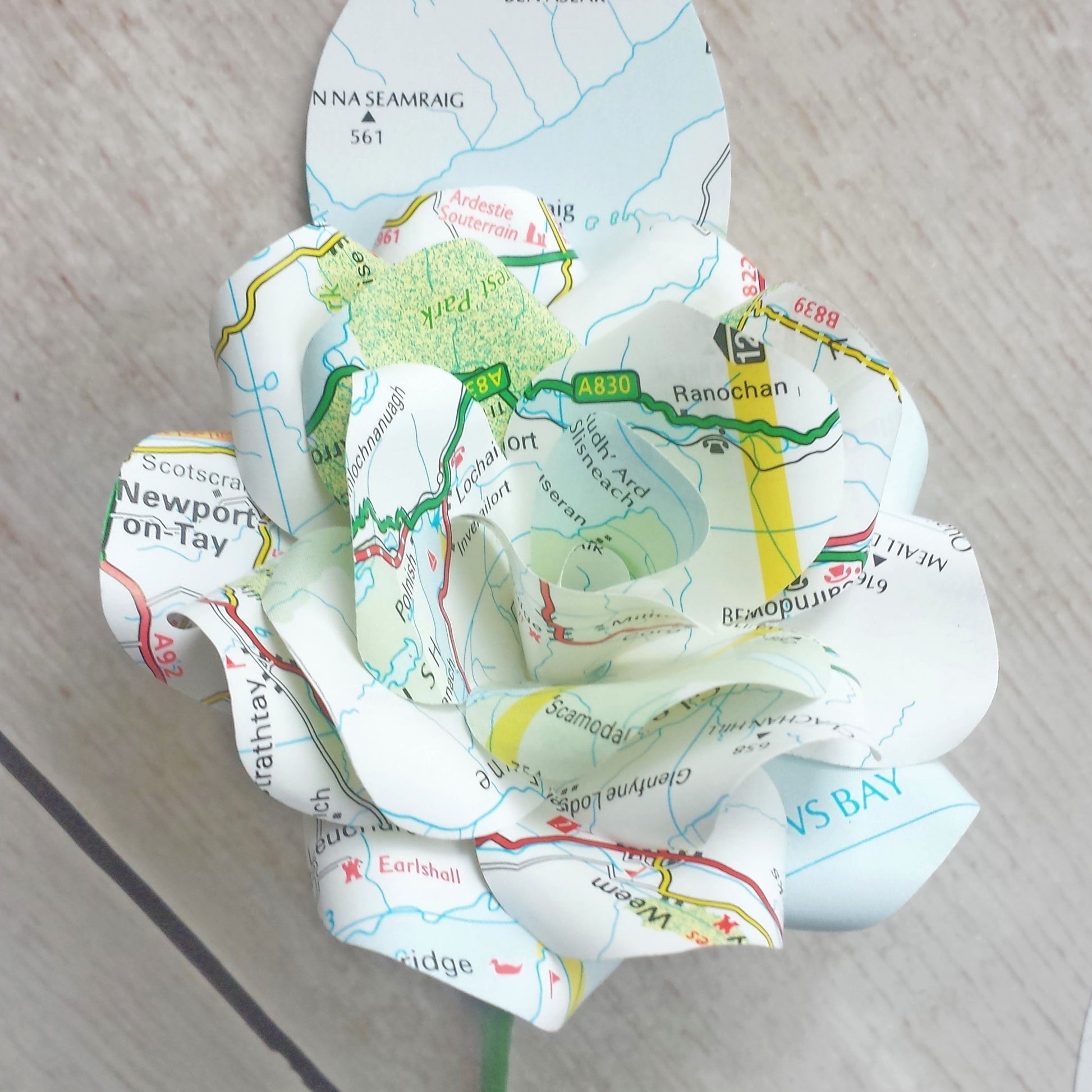 Map Paper Flower Buttonholes