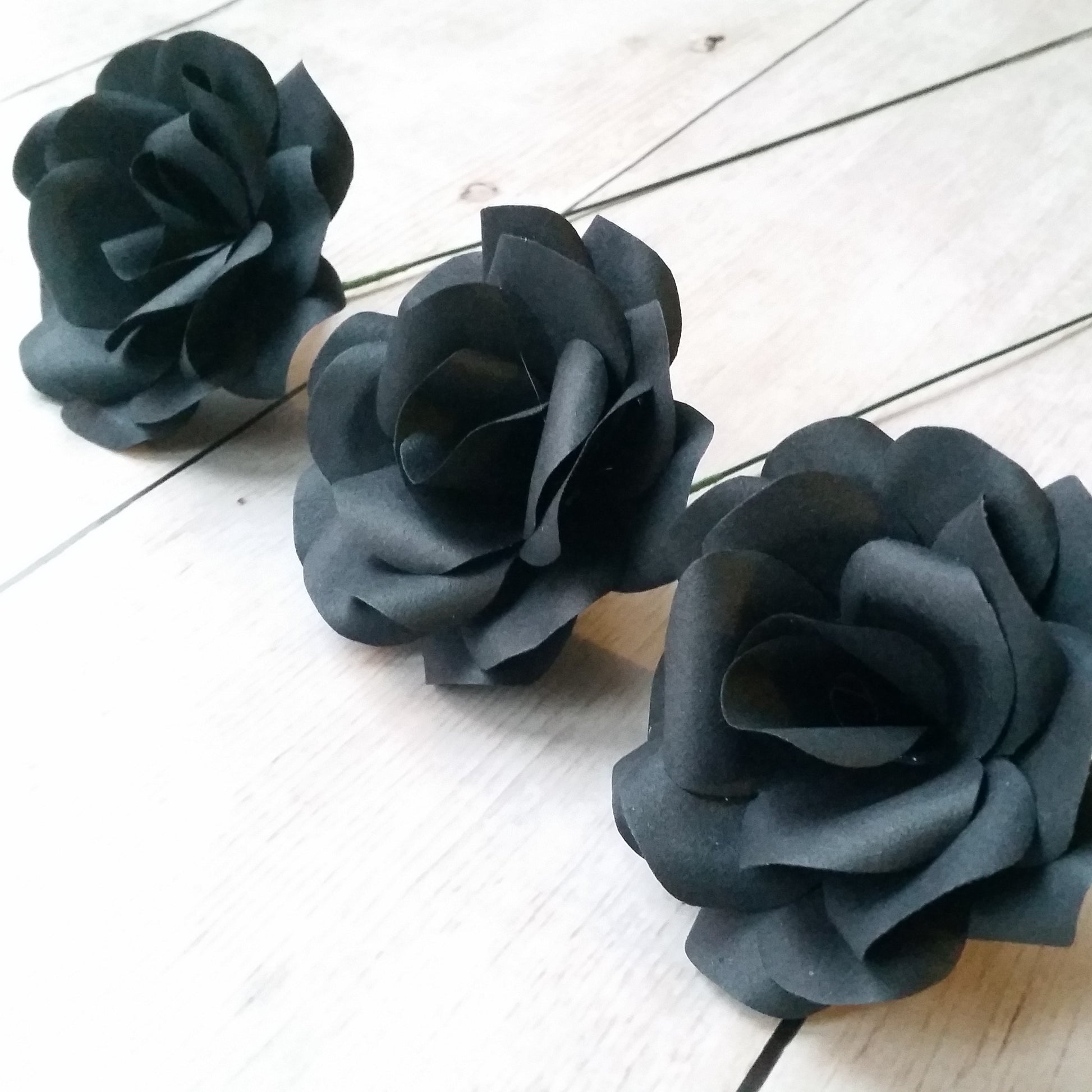 Black Paper Roses