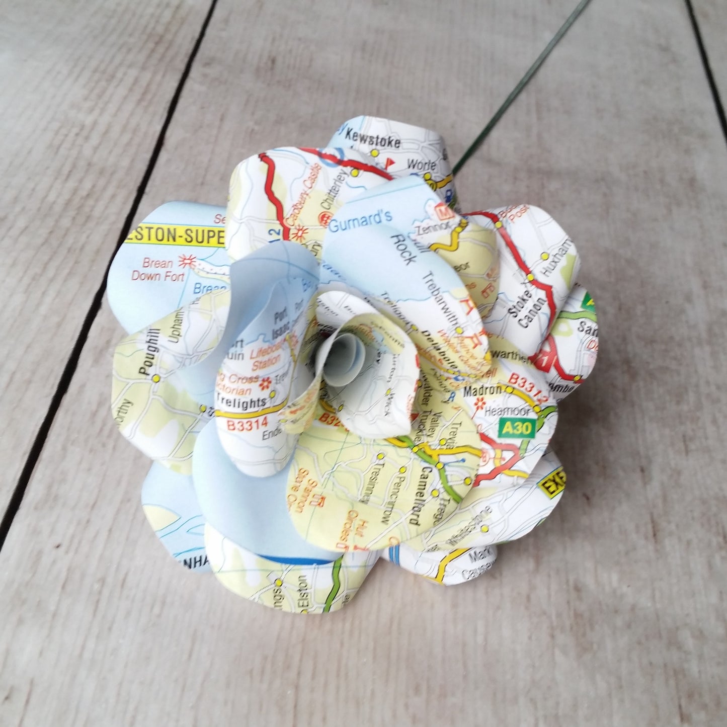 Map Paper Rose