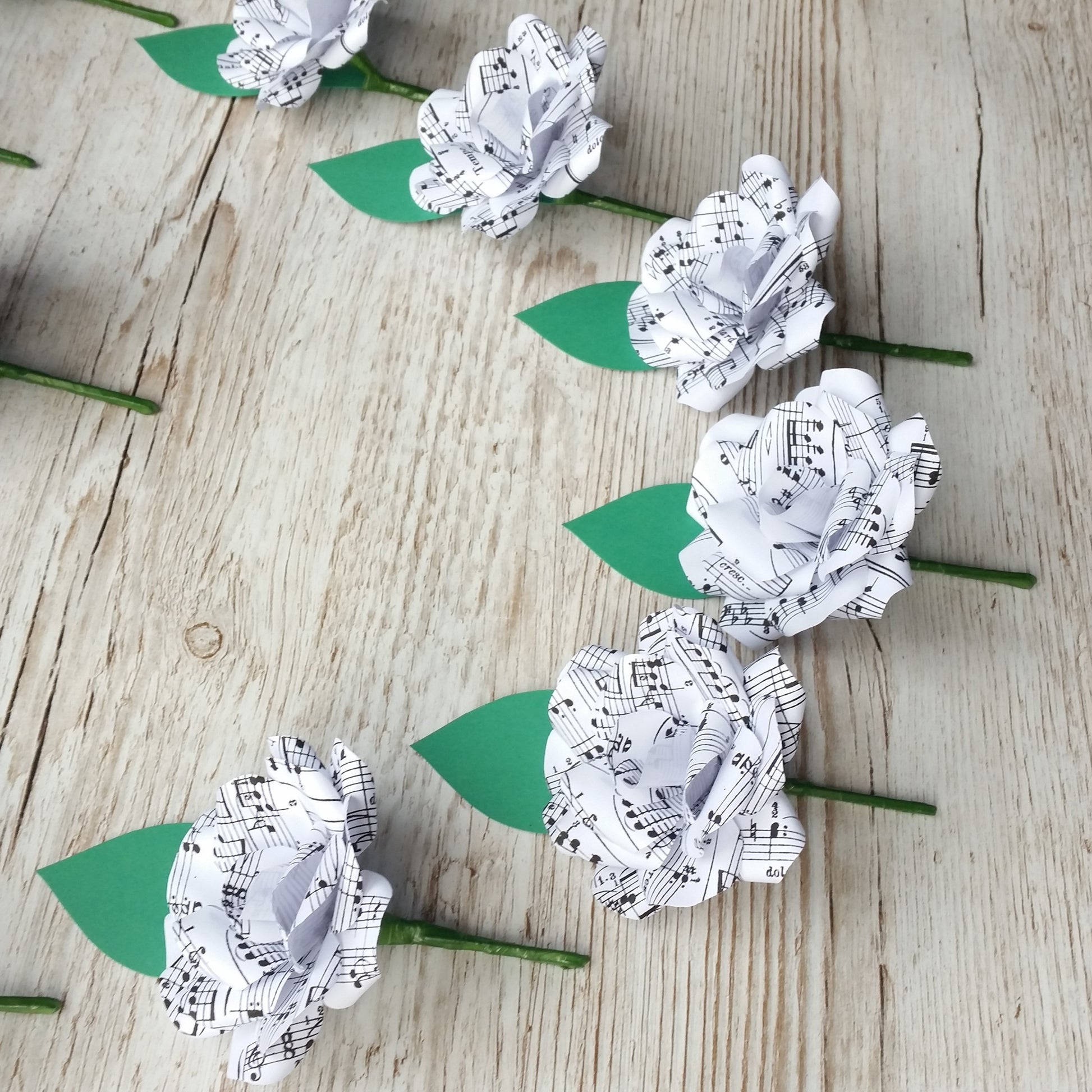 Sheet Music Buttonholes