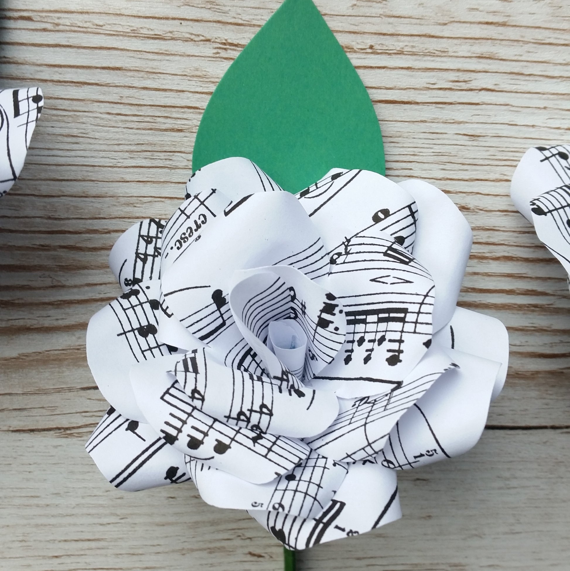 Sheet Music Buttonhole