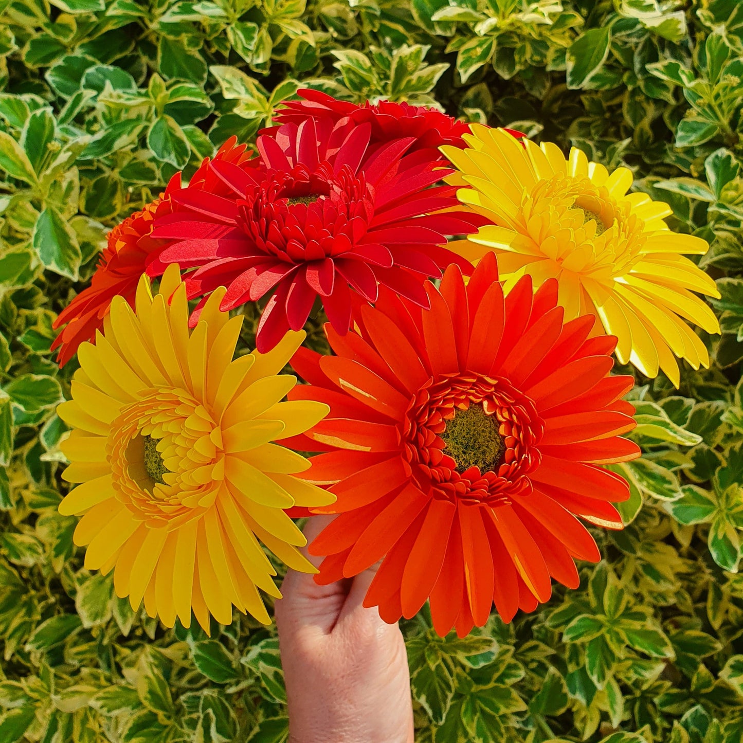 Gerbera Daisy - Handmade Paper Flower