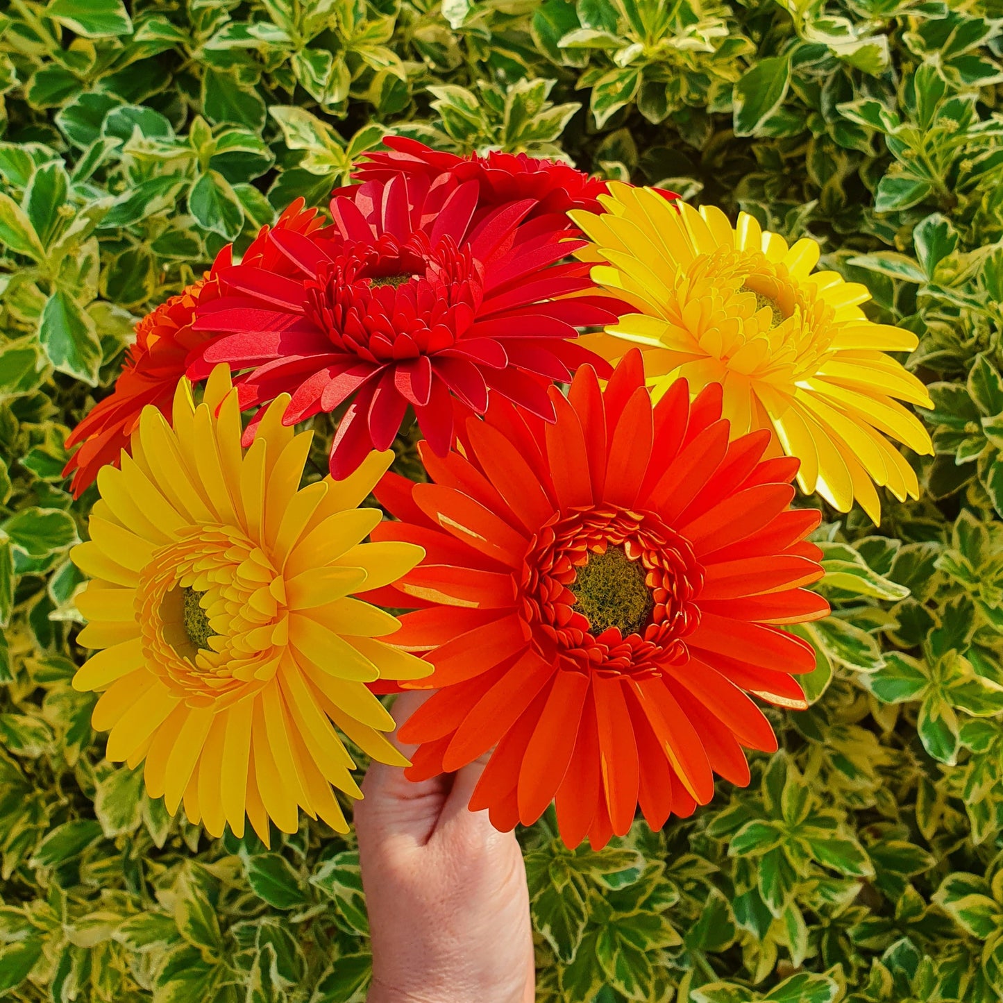 6 x Handmade Paper Gerbera Daisies