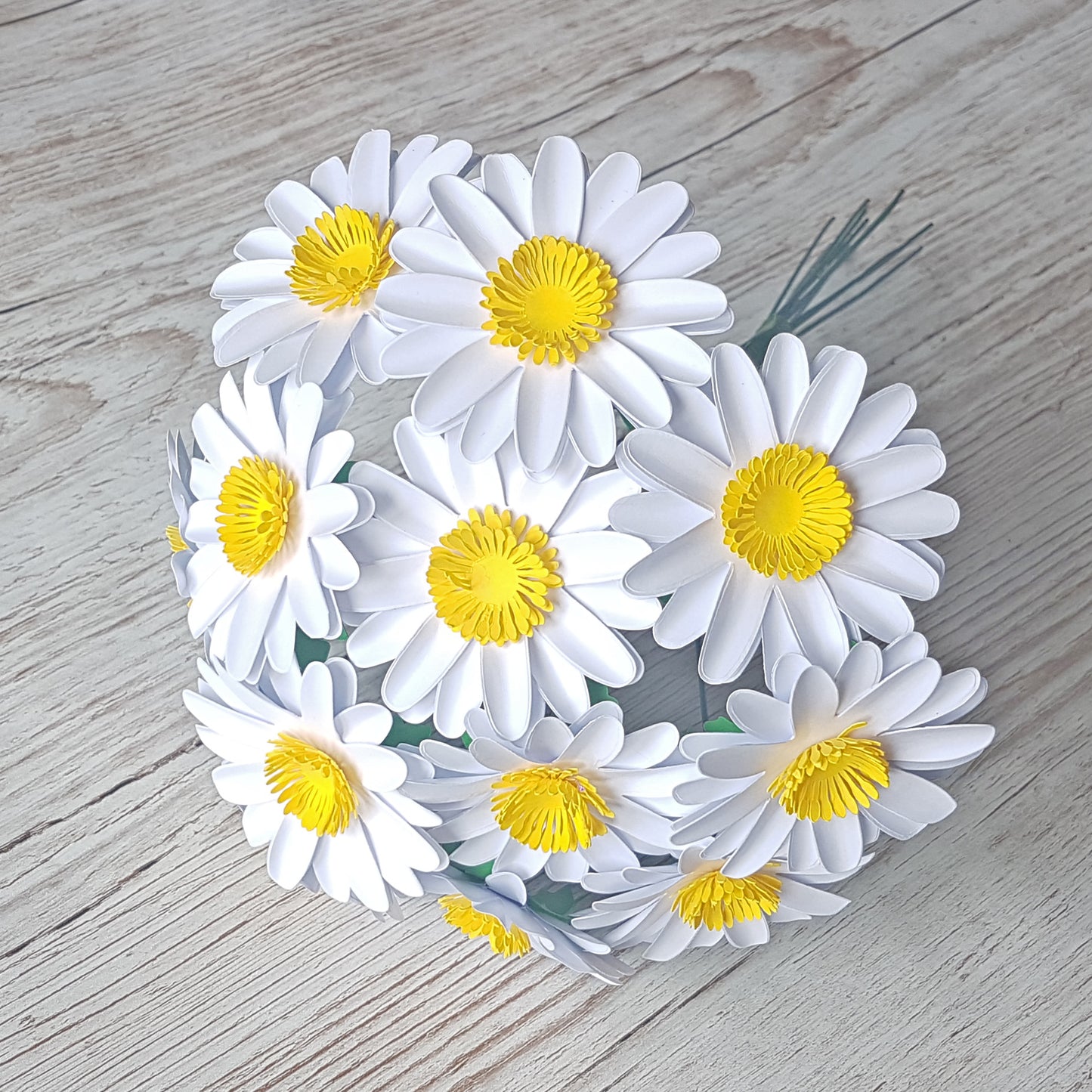 Paper Daisies