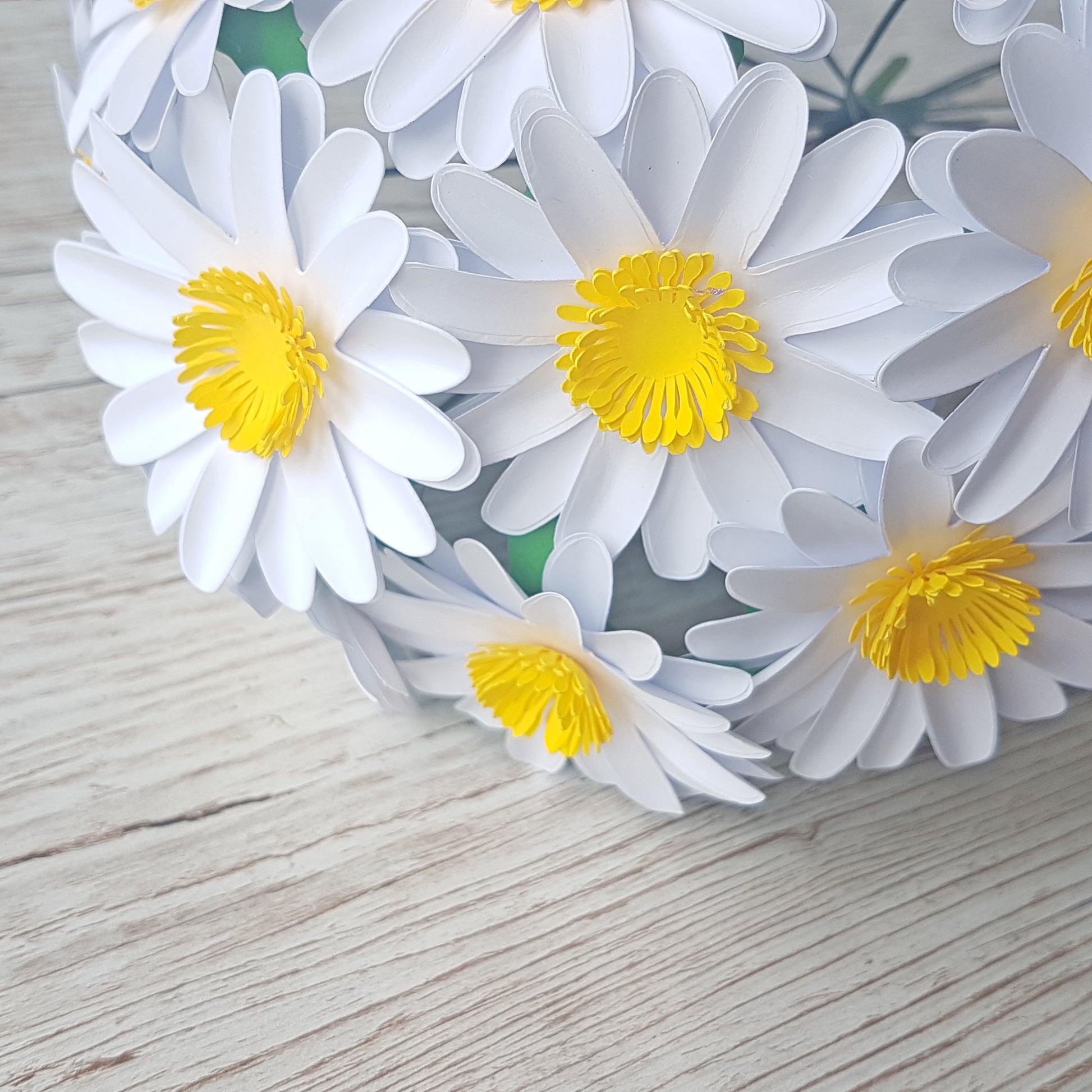 Paper Daisy