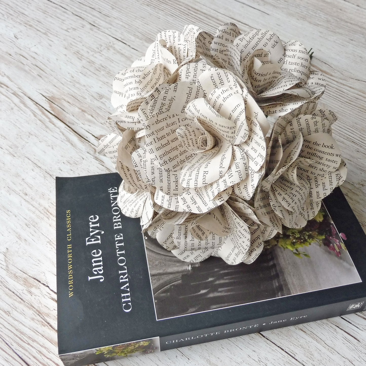 Jane Eyre Paper Flowers