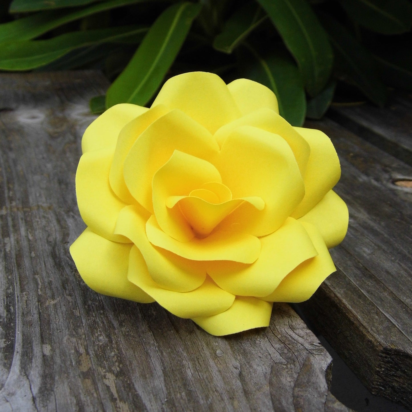 Yellow Paper Roses