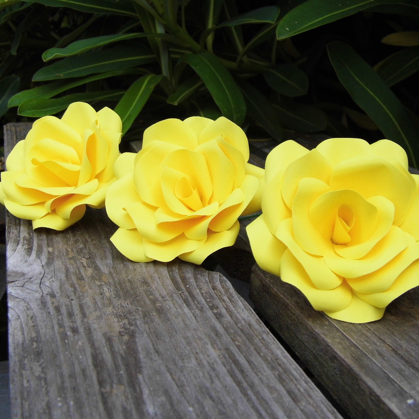 Yellow Paper Roses