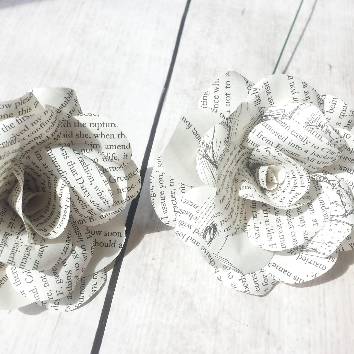 Pride & Prejudice Paper Flowers