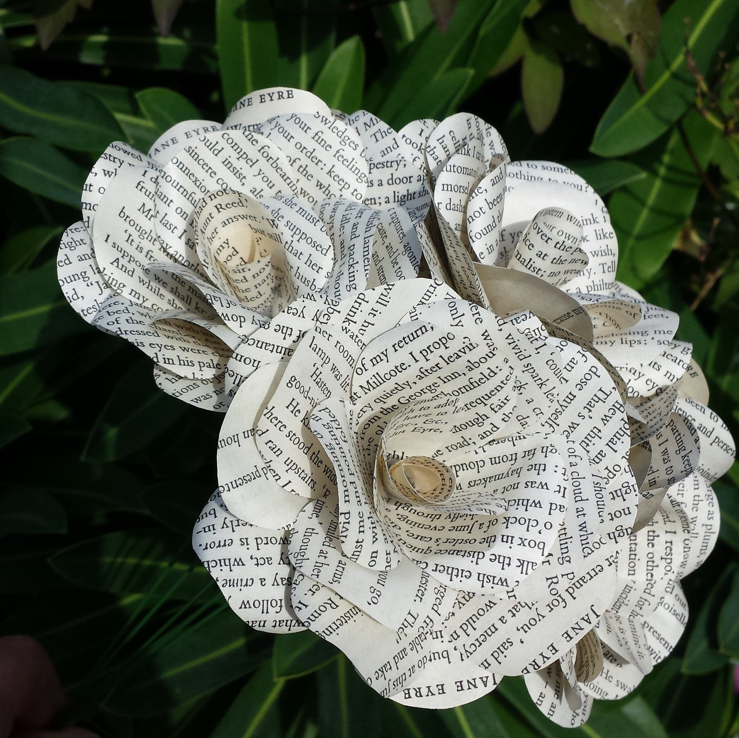 Jane Eyre Paper Flowers