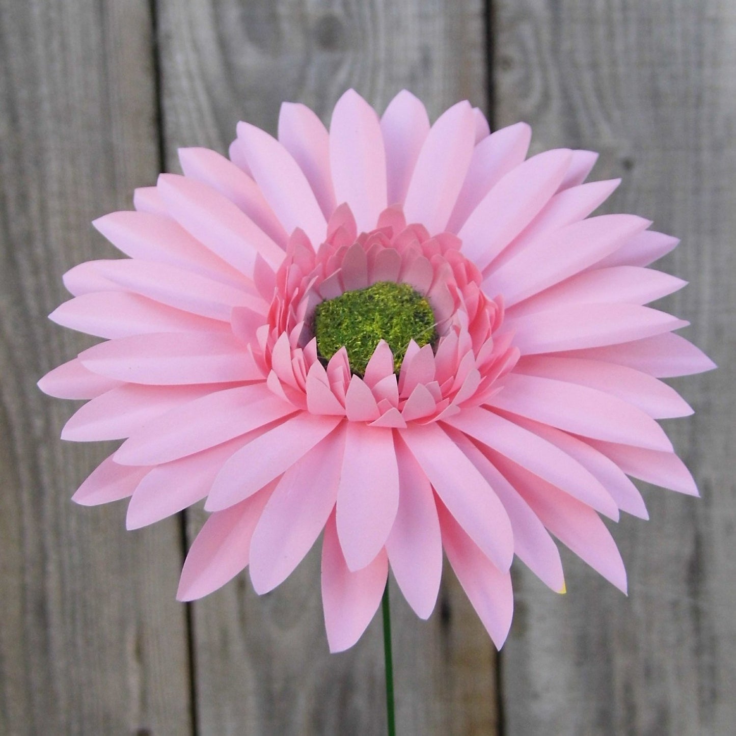 Gerbera Daisy - Handmade Paper Flower