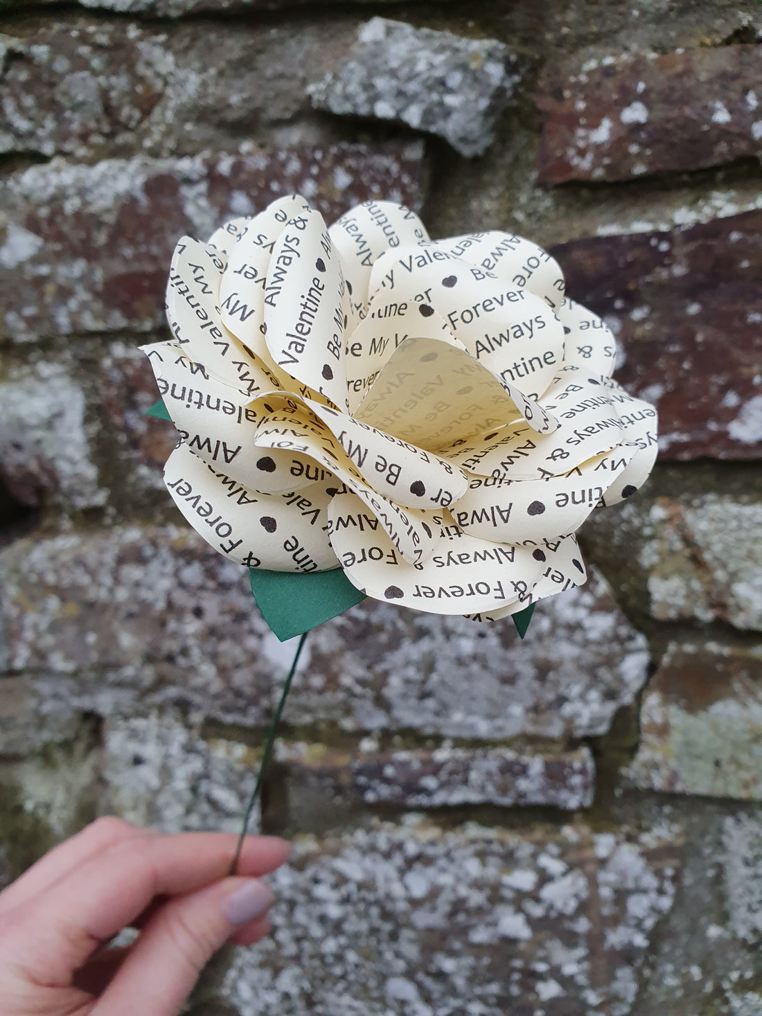 Single Personalised Message Flower Paper Rose