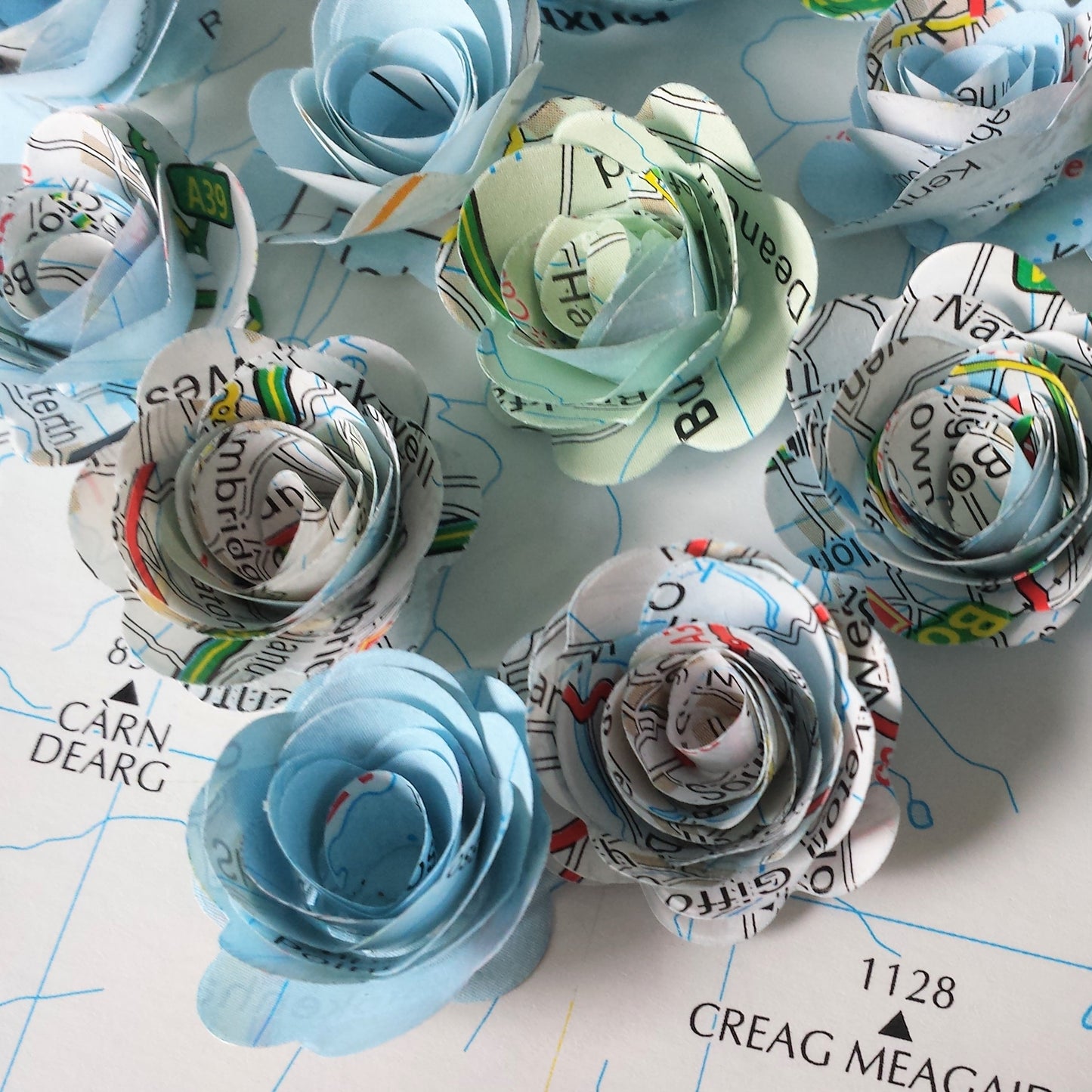 Map Paper Rolled Roses  x 25