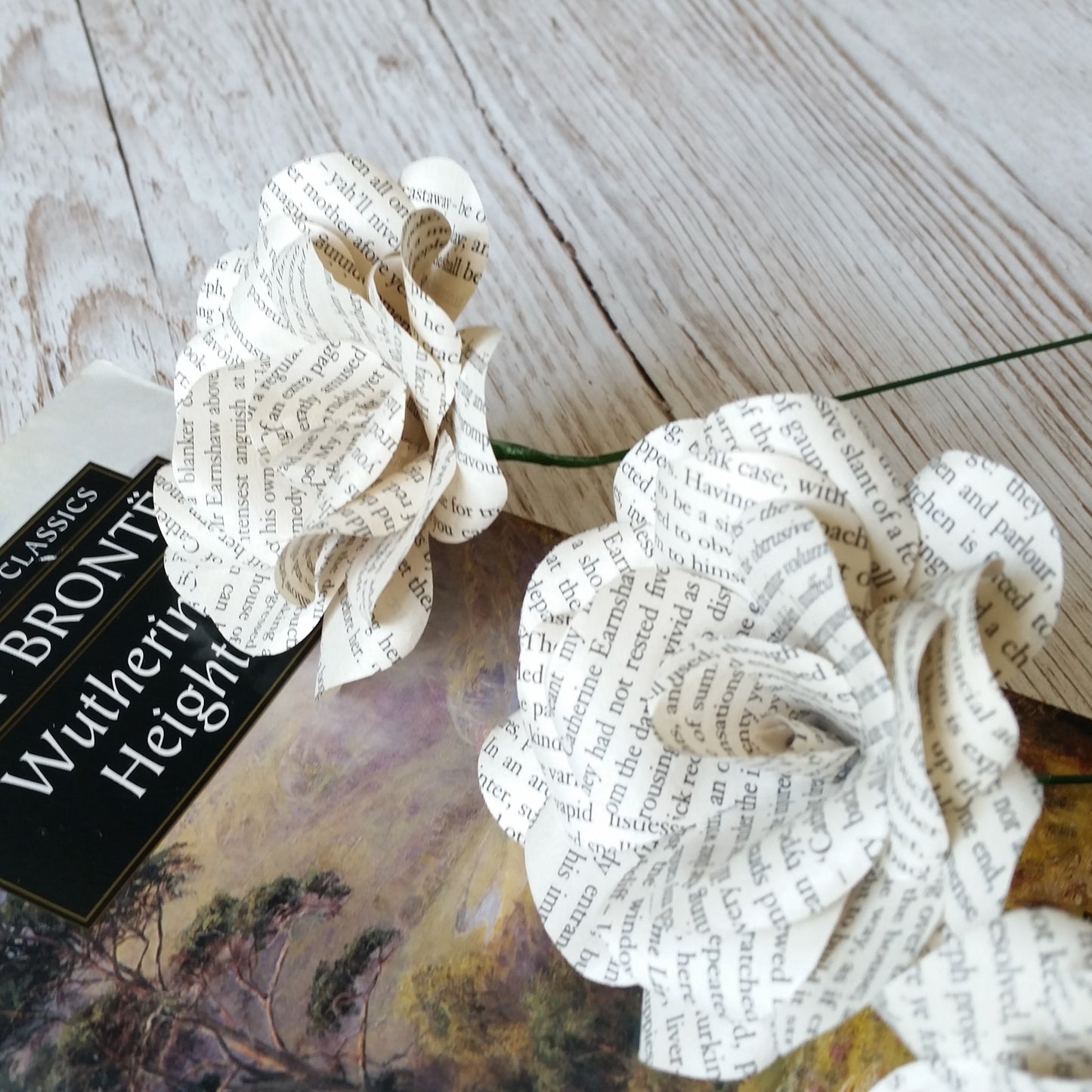 Wuthering Heights Book Paper Roses