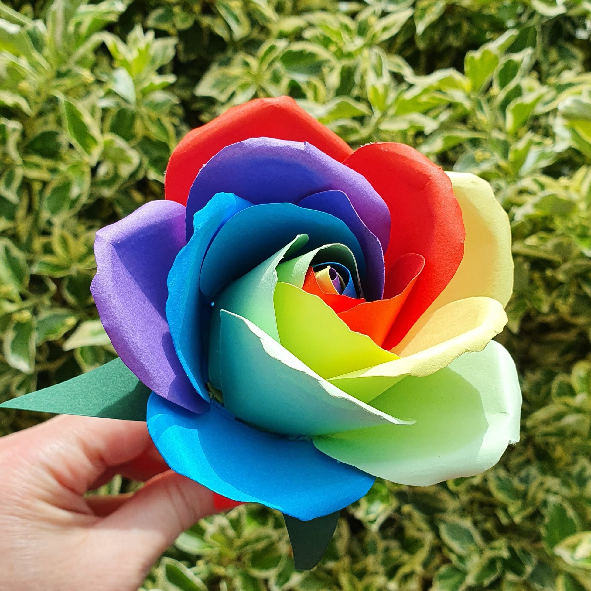 Rainbow Paper Flower