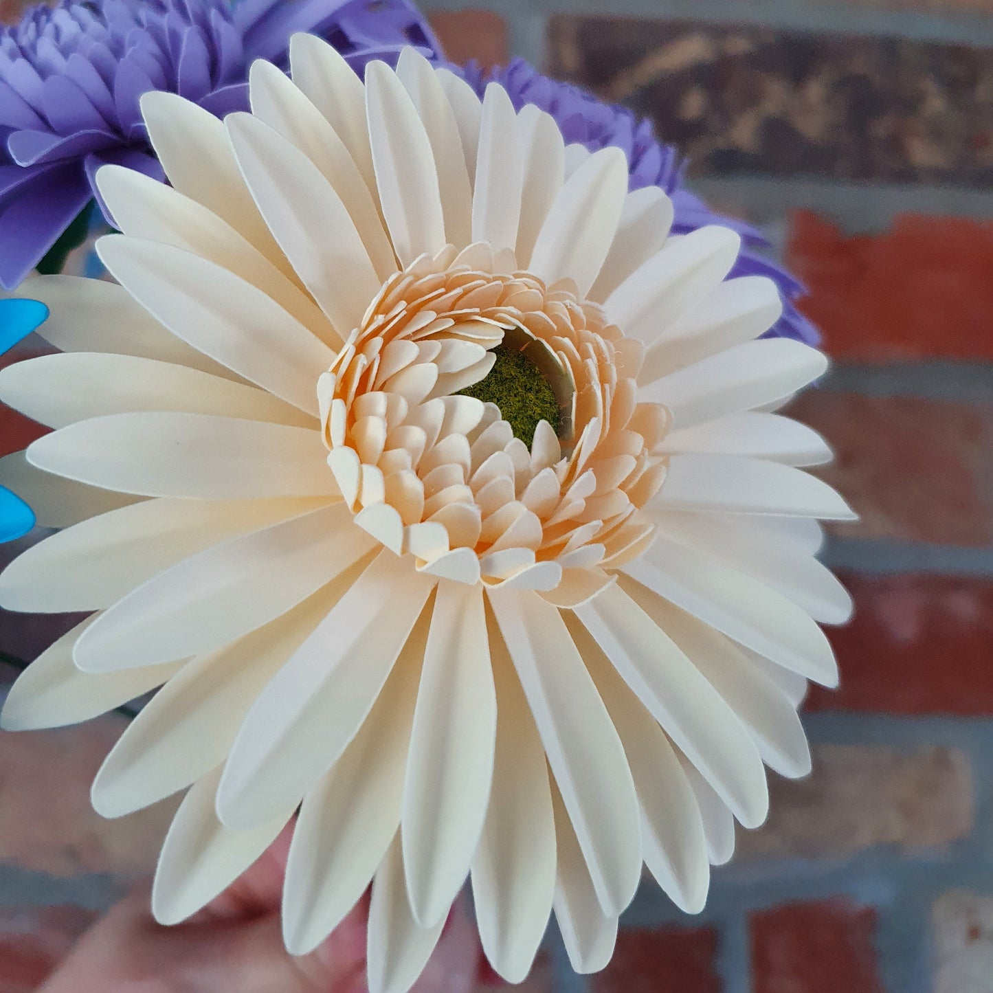 Cream Paper Gerbera Daisies