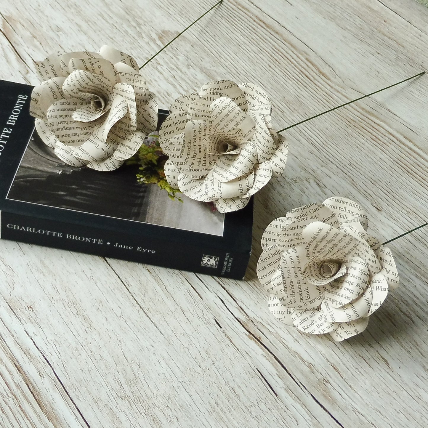 Jane Eyre Paper Flowers