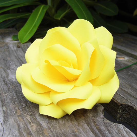 Yellow Paper Roses