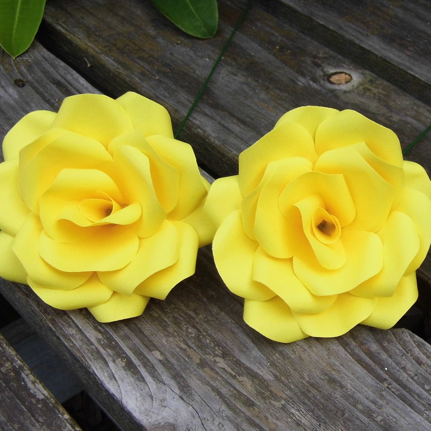 Yellow Paper Roses