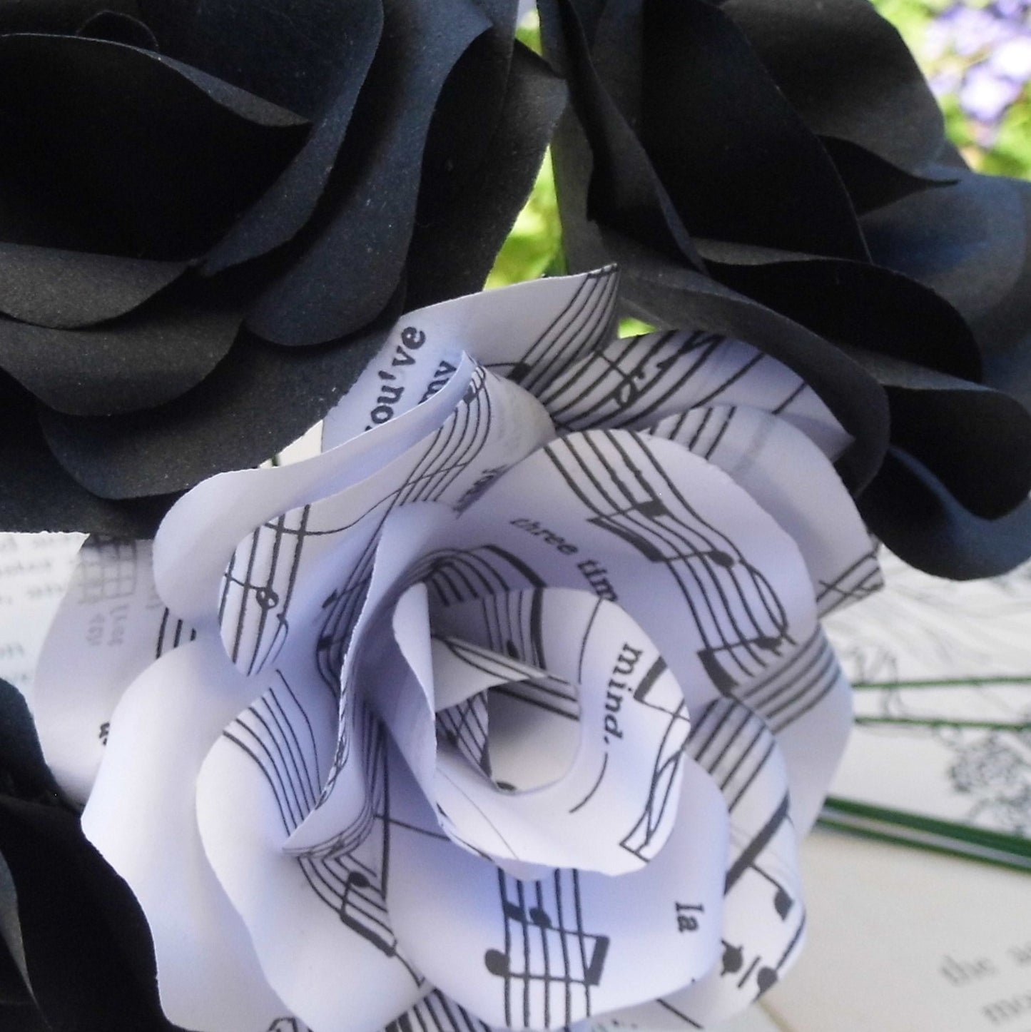 Music & Black Paper Roses