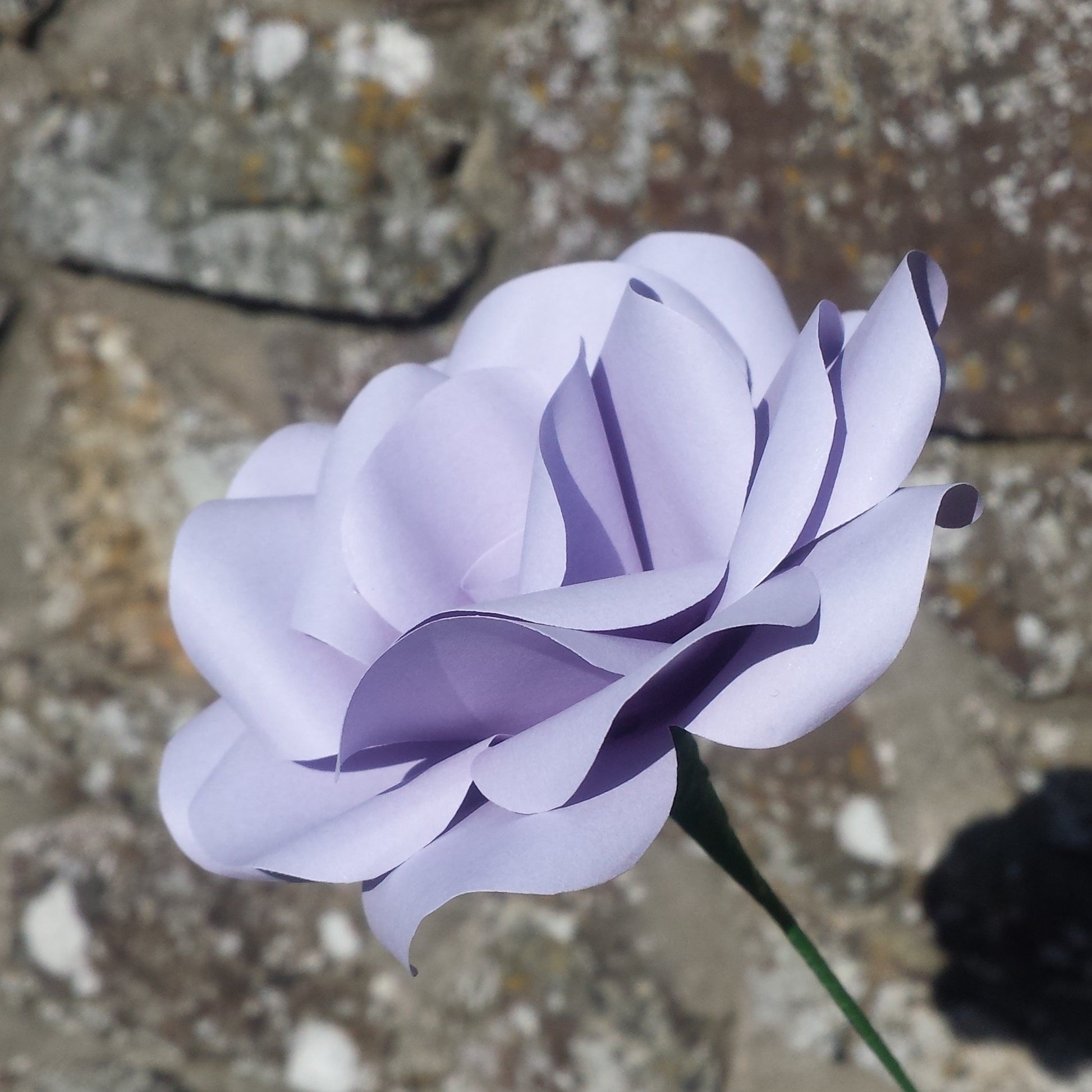 Lavender Paper Roses